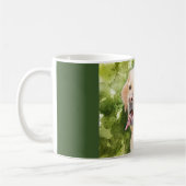 Mooie Mok - Geel lab (Links)