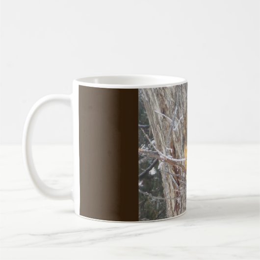 Mooie Mok van Eekhoorn in de Winter (Links)