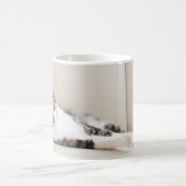 Mooie Mok van Feline Friend Cat Lovers'foto (Center)