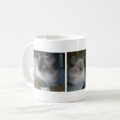 Mooie Mok van Hymalayan Ragdoll Cat Coffee (Voorkant links)