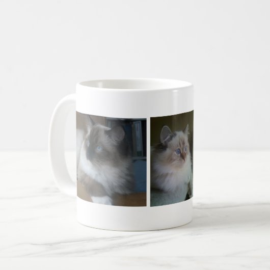 Mooie Mok van Hymalayan Ragdoll Cat Coffee (Voorkant links)