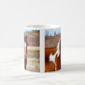 Mooie Mokken voor Paarden met verf (Center)