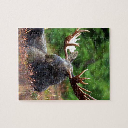 Mooie molen met grote geweien legpuzzel (Horizontaal)