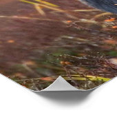 Mooie molen met grote geweien poster (Hoek)