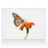 Mooie Monarch Butterfly (Binnen Horizontaal (Boven))
