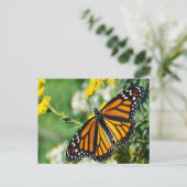 Mooie Monarch Butterfly Briefkaart (Staand voorkant)