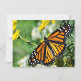 Mooie Monarch Butterfly Briefkaart