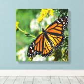 Mooie Monarch Butterfly Canvas Afdruk (Insitu (Houten vloer))