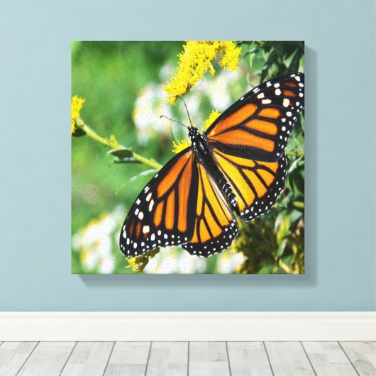 Mooie Monarch Butterfly Canvas Afdruk (Insitu (Houten vloer))