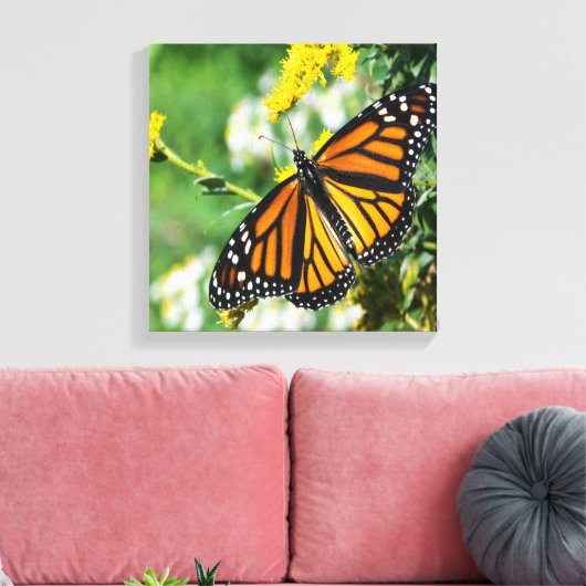 Mooie Monarch Butterfly Canvas Afdruk (Insitu (Woonkamer))
