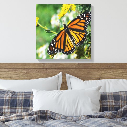 Mooie Monarch Butterfly Canvas Afdruk (Insitu (Slaapkamer))