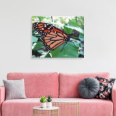 Mooie Monarch Butterfly Canvas Afdruk (Insitu (Woonkamer))