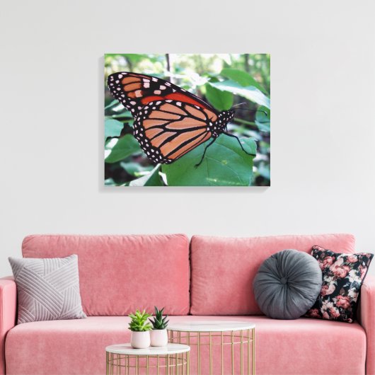 Mooie Monarch Butterfly Canvas Afdruk (Insitu (Woonkamer))