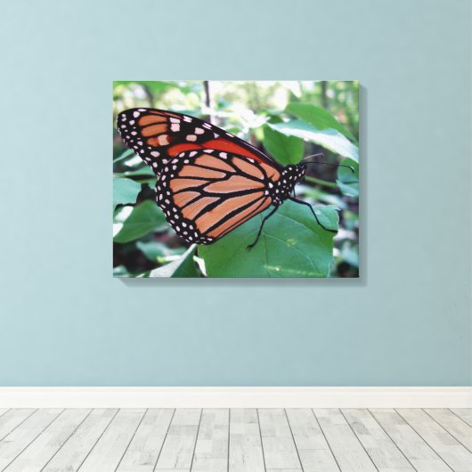 Mooie Monarch Butterfly Canvas Afdruk (Insitu (Houten vloer))