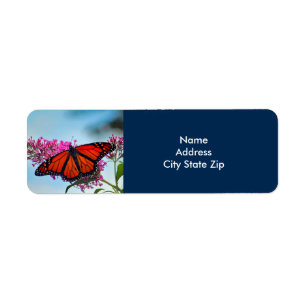 Mooie Monarch Butterfly foto Etiket