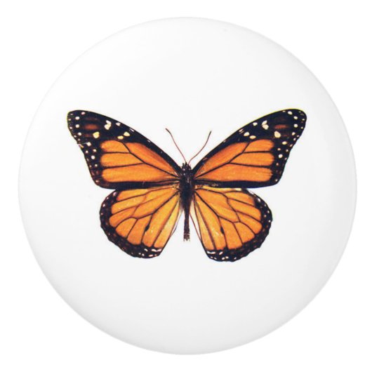 Mooie Monarch Butterfly  kunst Keramische Knop (Voorkant)