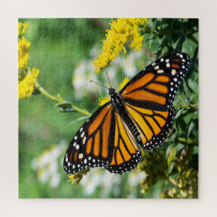 Mooie Monarch Butterfly Legpuzzel