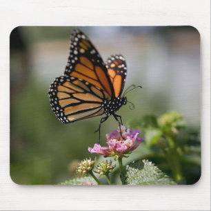 Mooie Monarch Butterfly Muismat