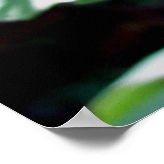 Mooie Monarch Butterfly Poster (Hoek)