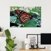 Mooie Monarch Butterfly Poster (Thuiskantoor)