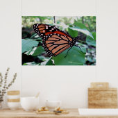 Mooie Monarch Butterfly Poster (Keuken)
