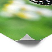 Mooie Monarch Butterfly Poster (Hoek)