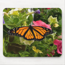 Mooie Monarch Butterfly Spread Wings Petunia