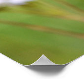 Mooie Monarch Vlinder Bloem Fotografie Kunst Poster (Hoek)