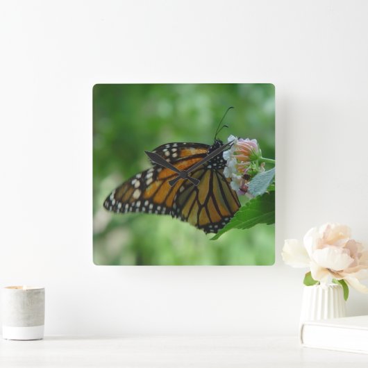 Mooie Monarch Vlinder Vierkante Wandklok (Huis)