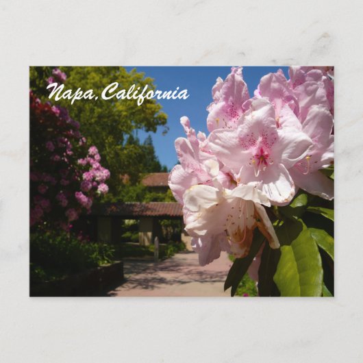 Mooie Mont La Salle Briefkaart (Voorkant)