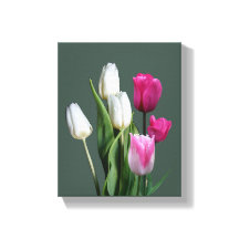 Mooie, mooie, roze tulpen, bloemrijk, kleurrijk bo
