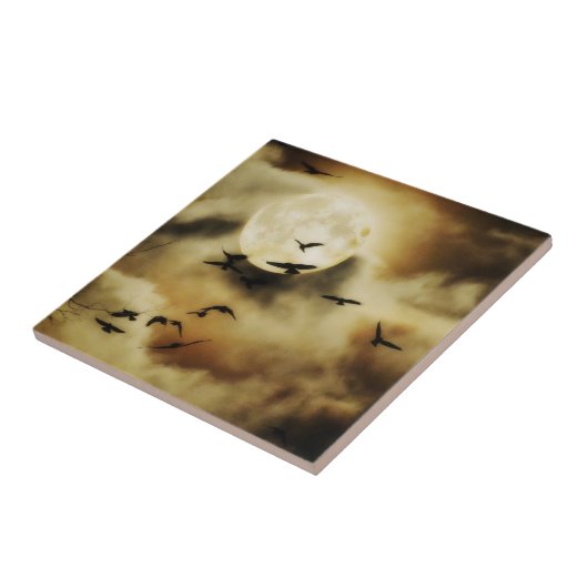 Mooie Moon Crows Tegeltje (Zijkant)