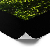 Mooie Moonlight Wilderness Scene Poster (Hoek)