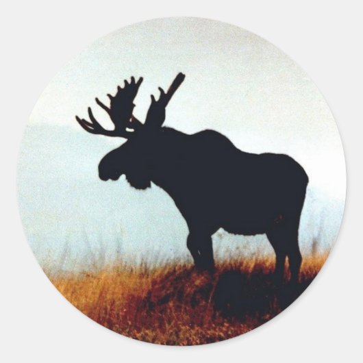Mooie Moose Ronde Sticker (Voorkant)