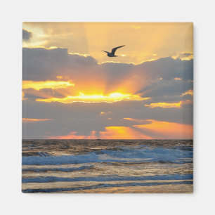 Mooie Morning Beach Sunrise Magnet