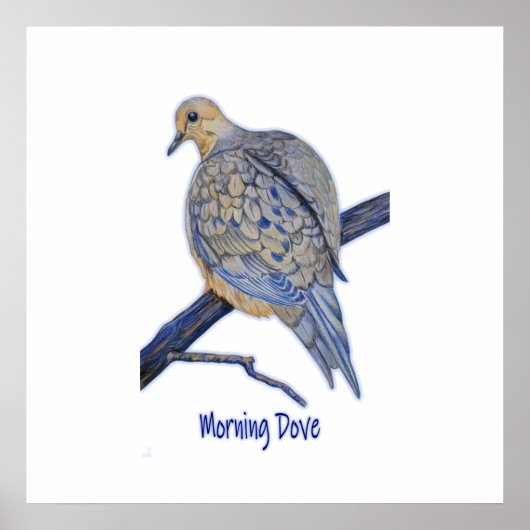 Mooie Morning Dove Perst op een Branch Art Poster (Voorkant)