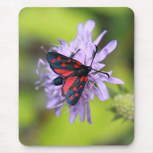 Mooie Moth Muismat (Voorkant)