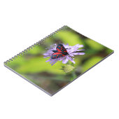 Mooie Moth Notitieboek (Linkerzijde)