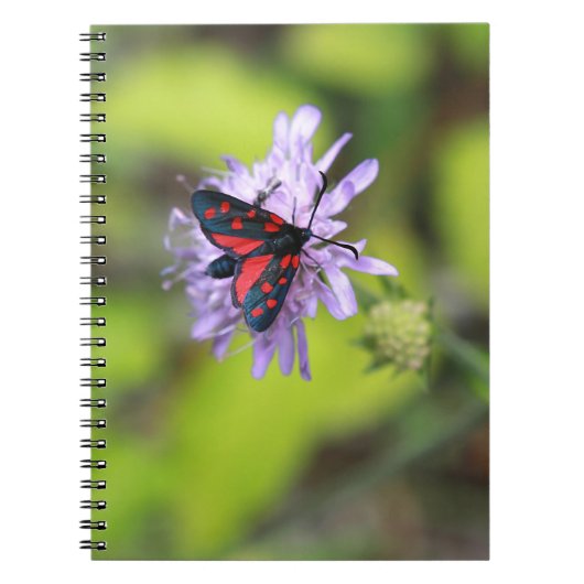 Mooie Moth Notitieboek (Voorkant)