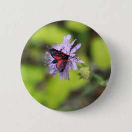 Mooie Moth Ronde Button 5,7 Cm