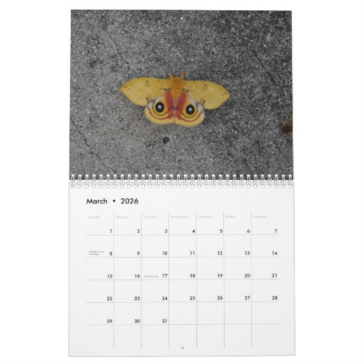 Mooie Moths Calendar 2016 Kalender (Mar 2026)