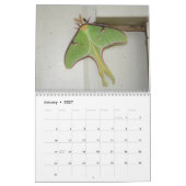 Mooie Moths Calendar 2016 Kalender (Jan 2027)