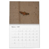 Mooie Moths Calendar 2016 Kalender (Feb 2027)