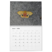 Mooie Moths Calendar 2018 Kalender (Mar 2026)