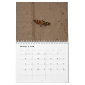 Mooie Moths Calendar 2018 Kalender (Feb 2026)