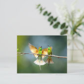 Mooie Motmot Bird op Branch Briefkaart (Staand voorkant)