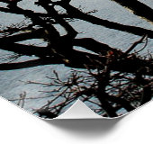 Mooie Mount Fuji Perfect Poster (Hoek)