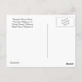 Mooie Mount Shasta... Briefkaart (Achterkant)