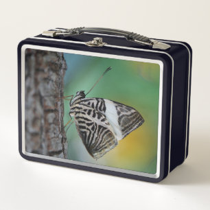 Mooie mozaïsche Zebra vlinder