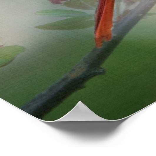 Mooie Mr Cardinaal Poster (Hoek)